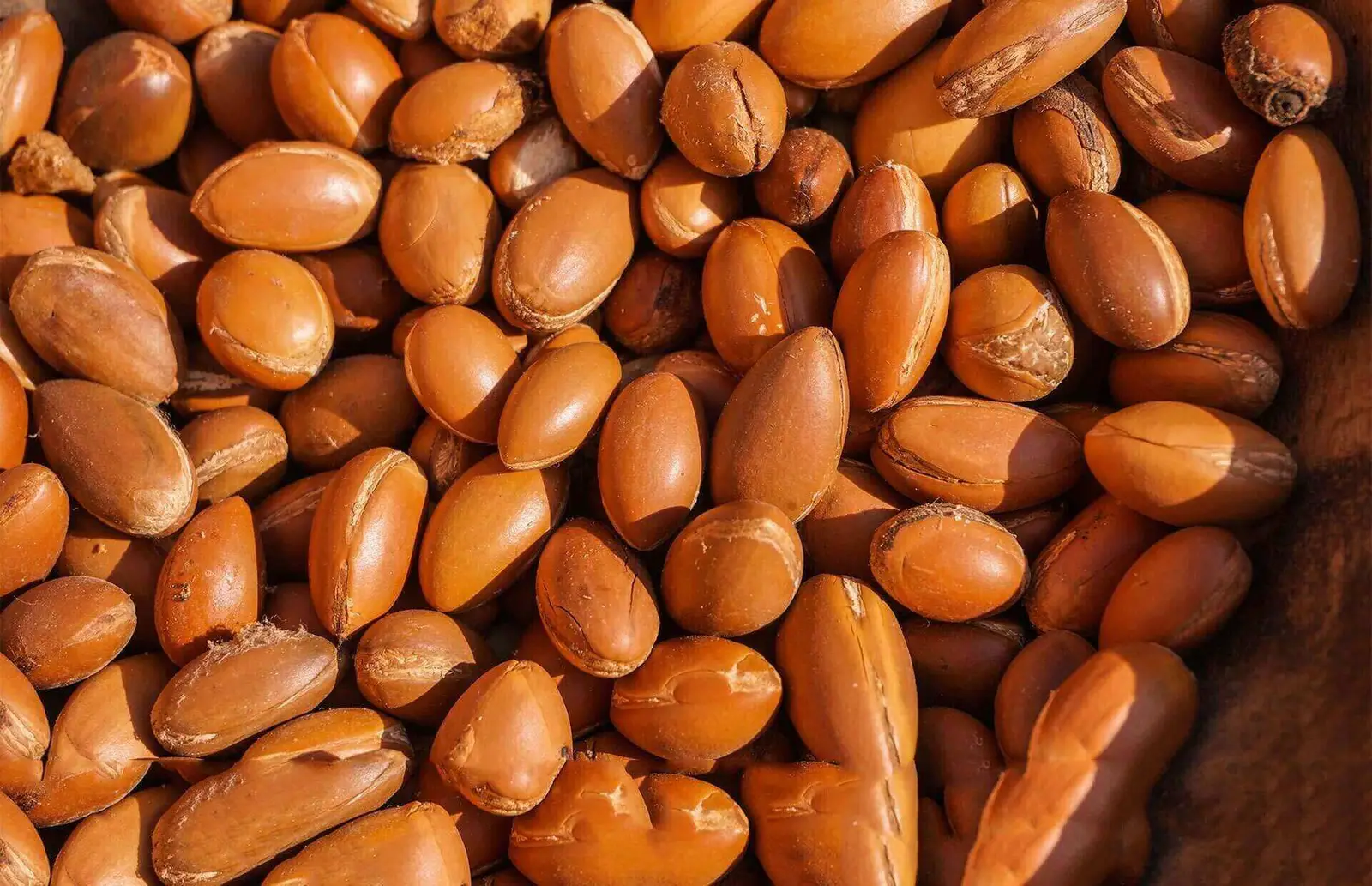 Moroccan Argan Oil thumbnail 3