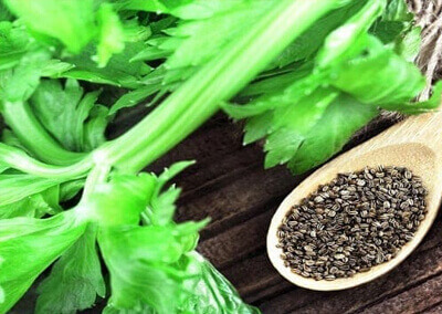 Celery Seed oil