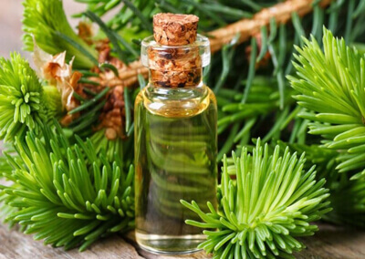 Cypress essential oil